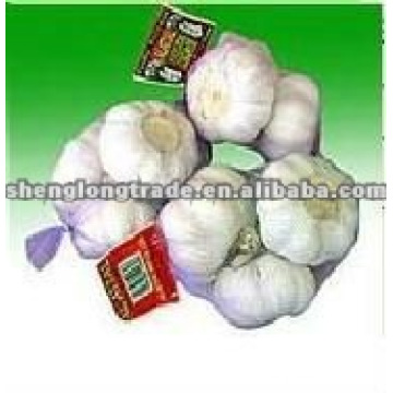 SPAIN BRAID Fresh GARLIC